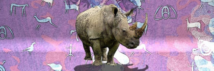the utterly amazing rhinoceros
