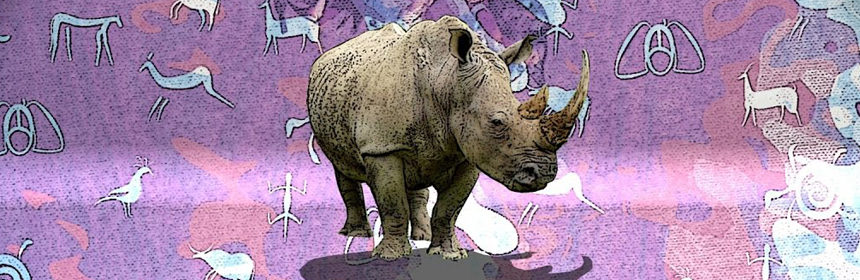 the utterly amazing rhinoceros